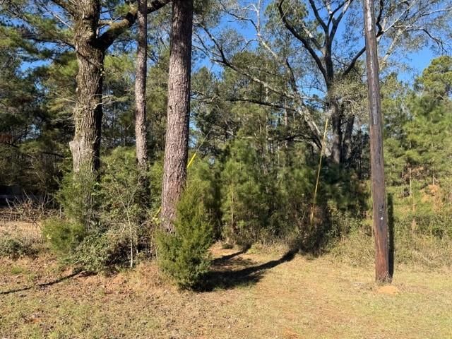 TBD Preacher Denson Road, Coldspring, TX 77331