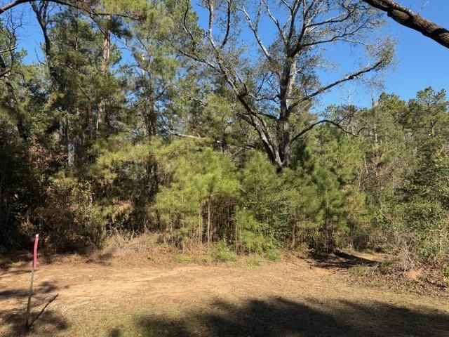 TBD Preacher Denson Road, Coldspring, TX 77331