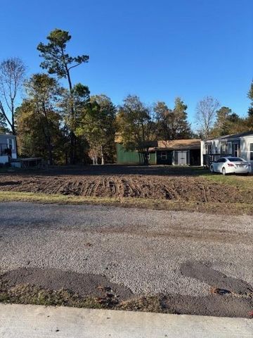 LOT 251 Canal Drive, Point Blank, TX 77364