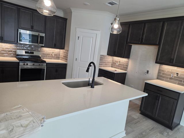 21122 Autumn Heights, Bonney, TX 77583