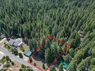 Nehemiah Drive, Shingletown, CA 96088