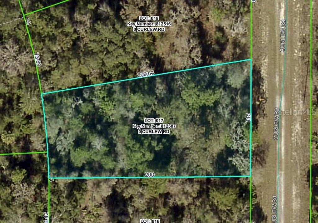 CURLEW ROAD, Brooksville, FL 34614