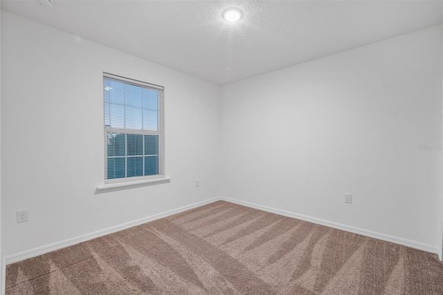 2151 NW 248TH WAY, Newberry, FL 32669