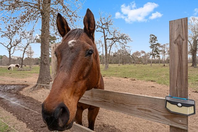 1560 Bowler Road, Waller, TX 77484