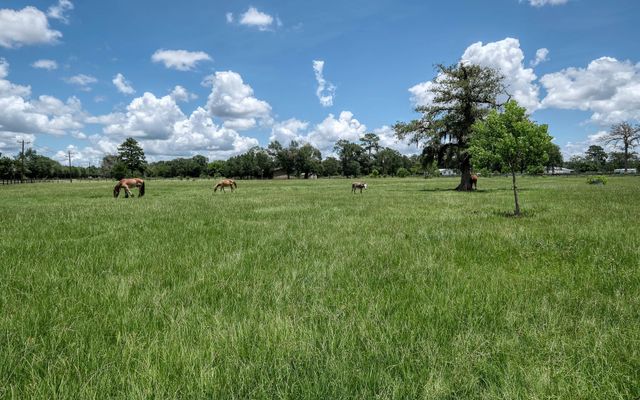 1560 Bowler Road, Waller, TX 77484