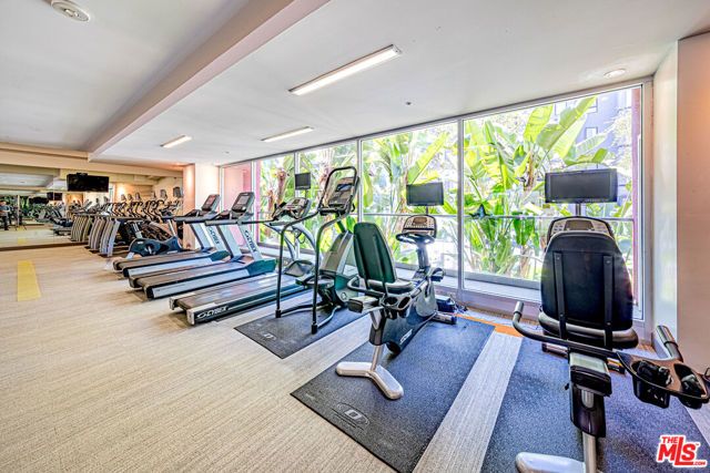 1234 Wilshire Boulevard 321, Los Angeles, CA 90017