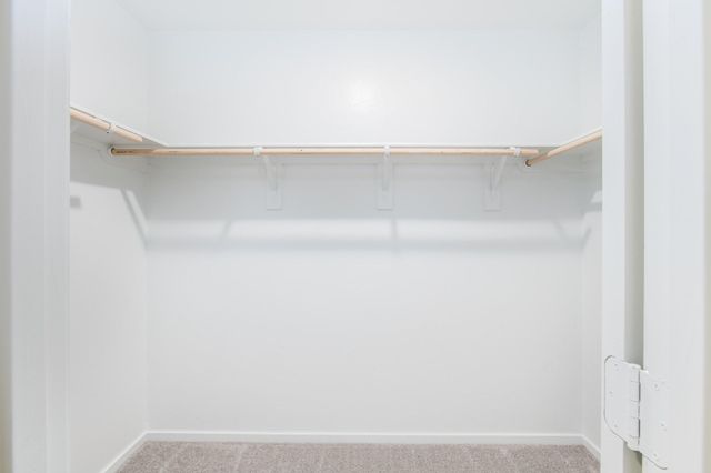 2614 Rain Quail Court, Conroe, TX 77306