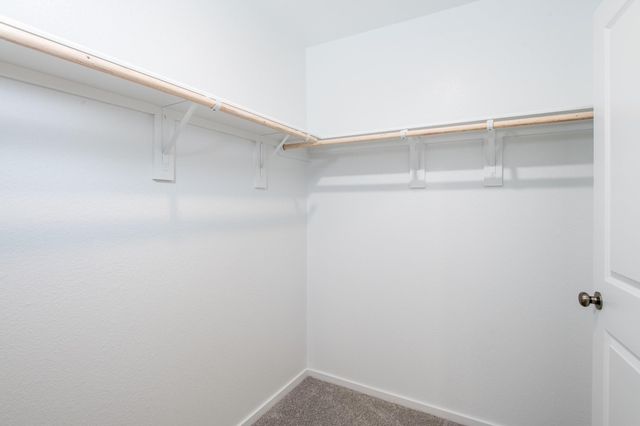 2614 Rain Quail Court, Conroe, TX 77306