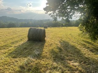 0 Agnew Rd, Pulaski, TN 38478