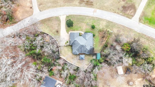 15360 Wagon Wheel Drive, Chandler, TX 75758
