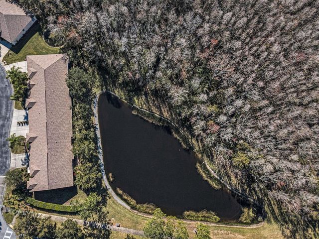 1549 ARLINGTON OAKS COURT, Trinity, FL 34655