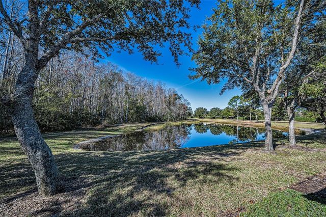 1549 ARLINGTON OAKS COURT, Trinity, FL 34655