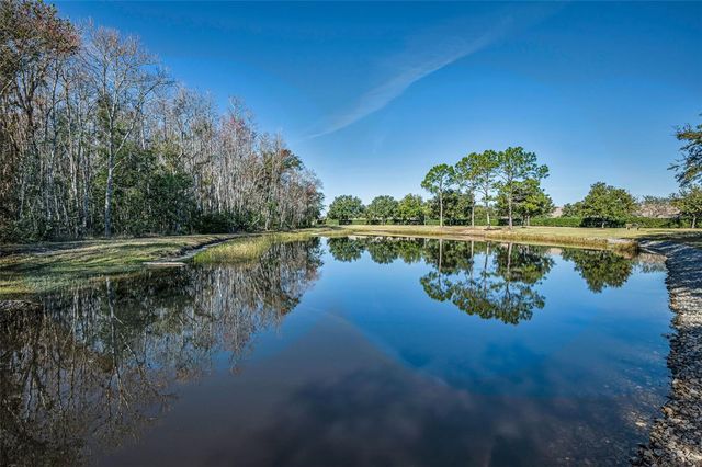 1549 ARLINGTON OAKS COURT, Trinity, FL 34655