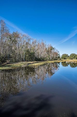 1549 ARLINGTON OAKS COURT, Trinity, FL 34655