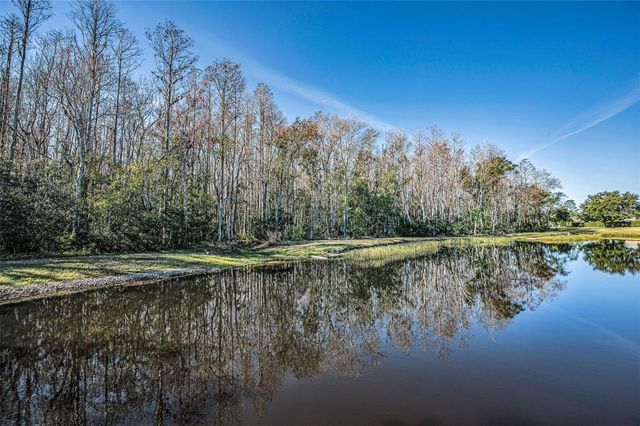 1549 ARLINGTON OAKS COURT, Trinity, FL 34655