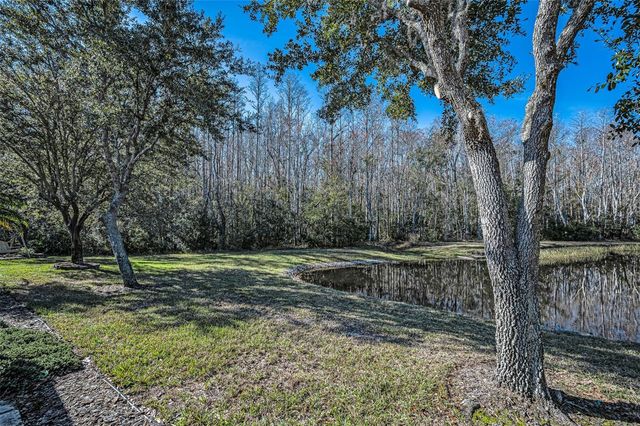1549 ARLINGTON OAKS COURT, Trinity, FL 34655