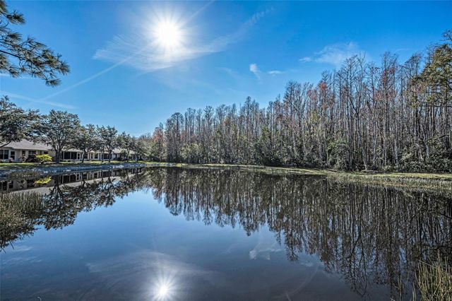 1549 ARLINGTON OAKS COURT, Trinity, FL 34655