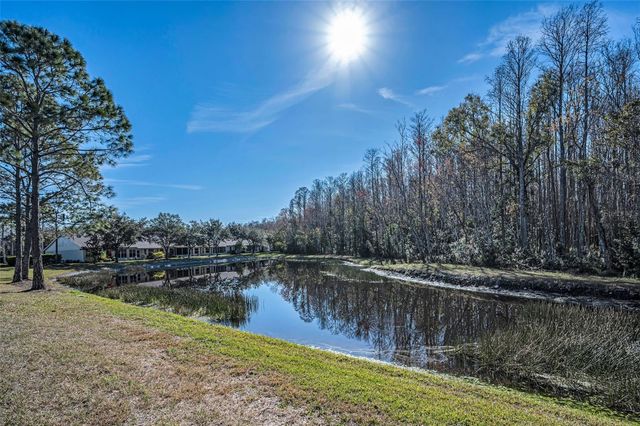 1549 ARLINGTON OAKS COURT, Trinity, FL 34655