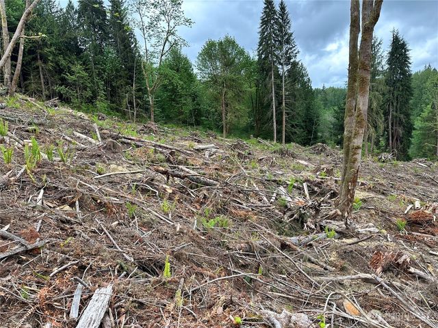 0 S Carpenter Road, Snohomish, WA 98280