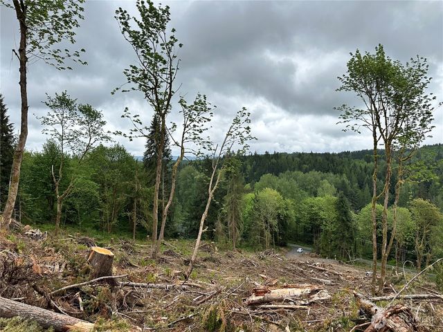 0 S Carpenter Road, Snohomish, WA 98280