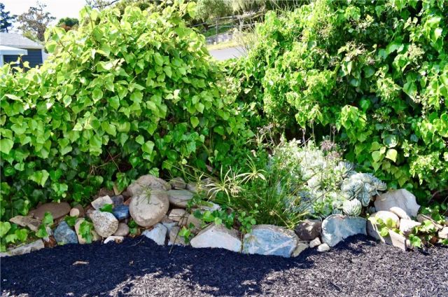 1226 N Main ST 36, Cambria, CA 93428