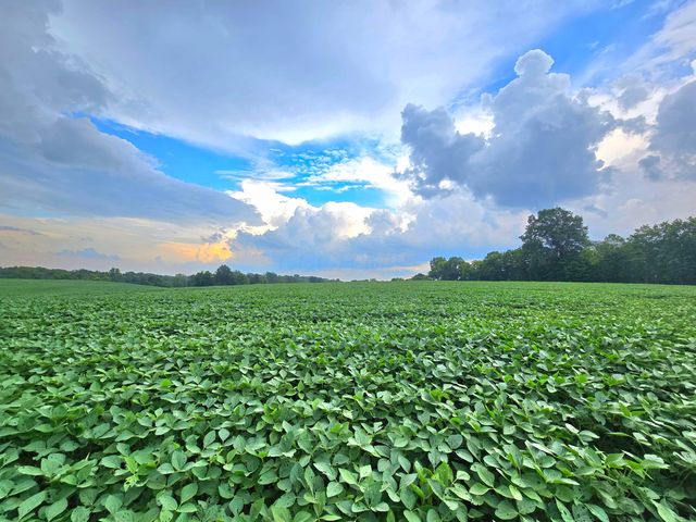 0002 County Road 26, Marengo, OH 43334