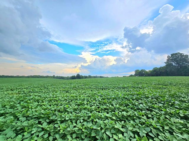 0002 County Road 26, Marengo, OH 43334