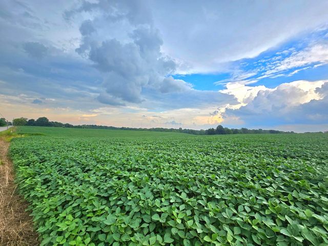 0002 County Road 26, Marengo, OH 43334