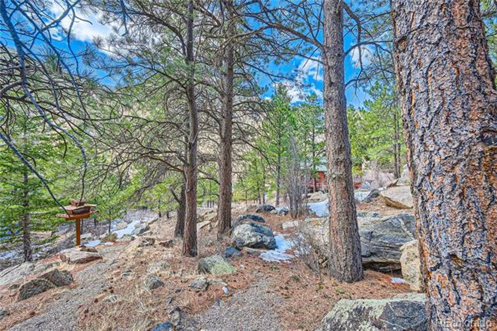Skyline Road, Georgetown, CO 80444