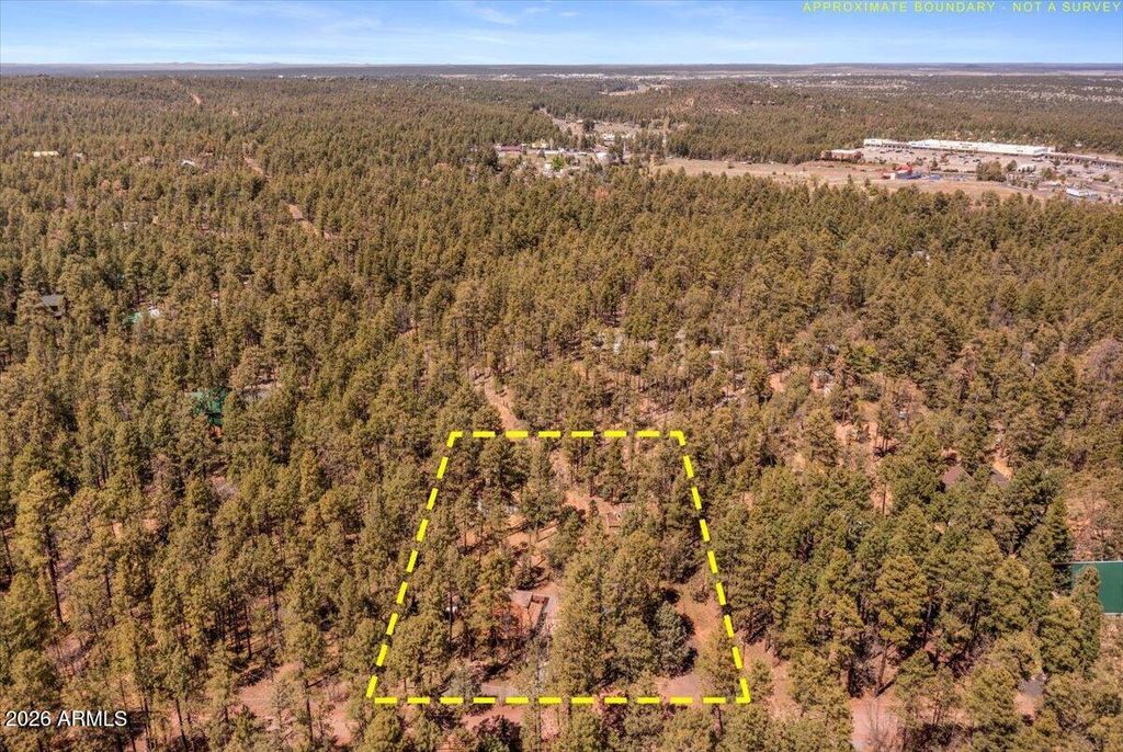 Image 42 of property listing at 1204 FLORES Drive, Show Low, AZ 85901