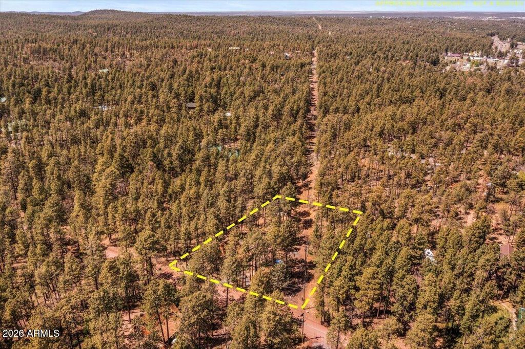 Image 43 of property listing at 1204 FLORES Drive, Show Low, AZ 85901