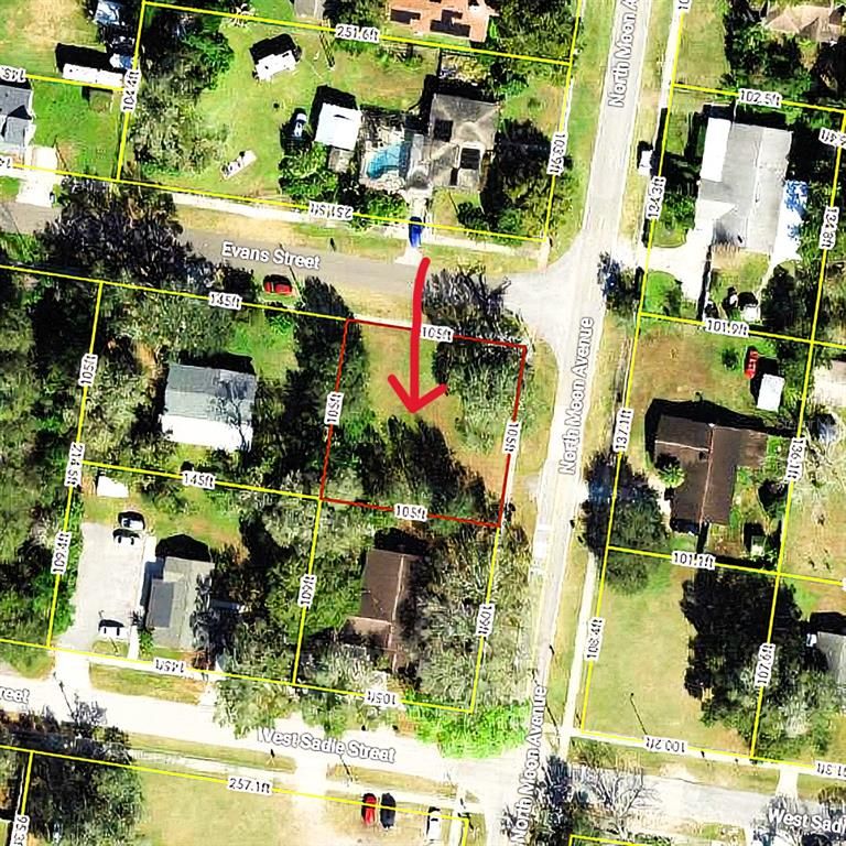306 N MOON AVENUE, Brandon, FL 33510