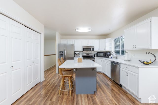 1199 E PHEASANT VIEW DR, Layton, UT 84041