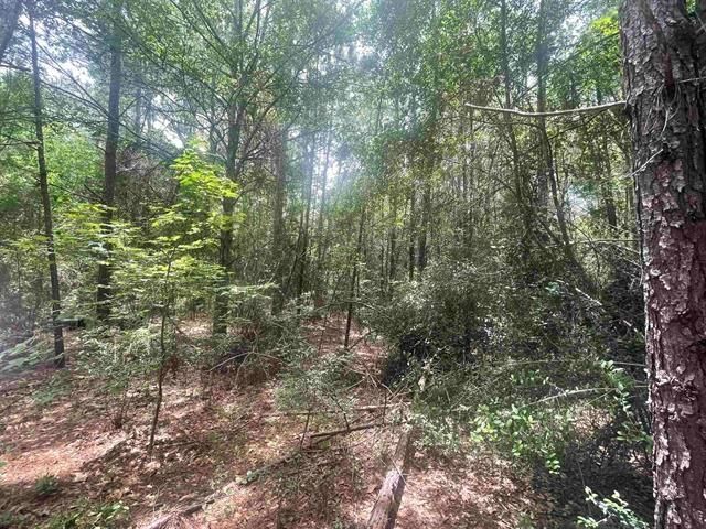 01 County Road 4600, Fred, TX 77616