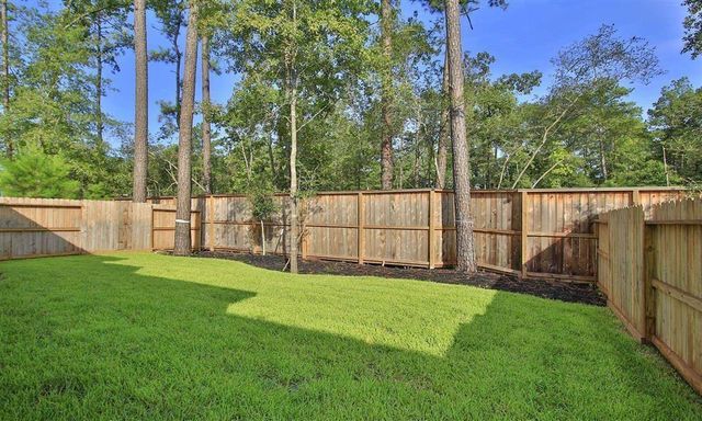 707 Lacebark Elm Trail, Conroe, TX 77318