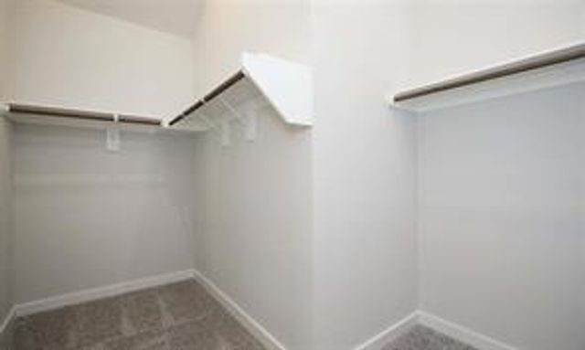 707 Lacebark Elm Trail, Conroe, TX 77318