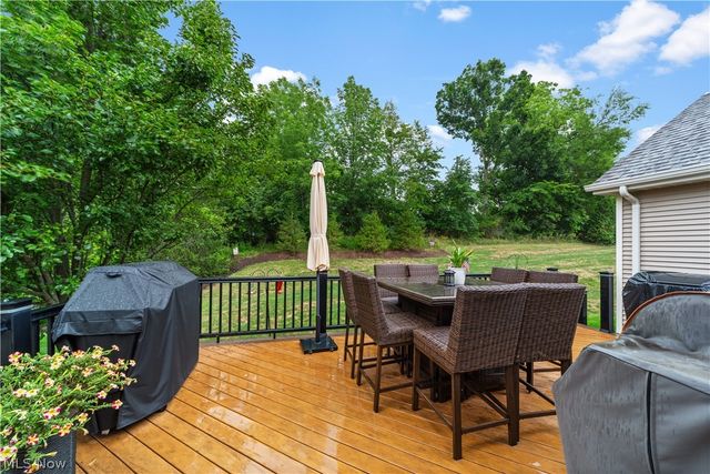 3701 Falcon Ridge Drive, Medina, OH 44256