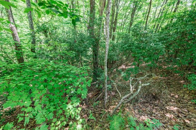Lot 56 Indian Rock Springs, Murphy, NC 28906
