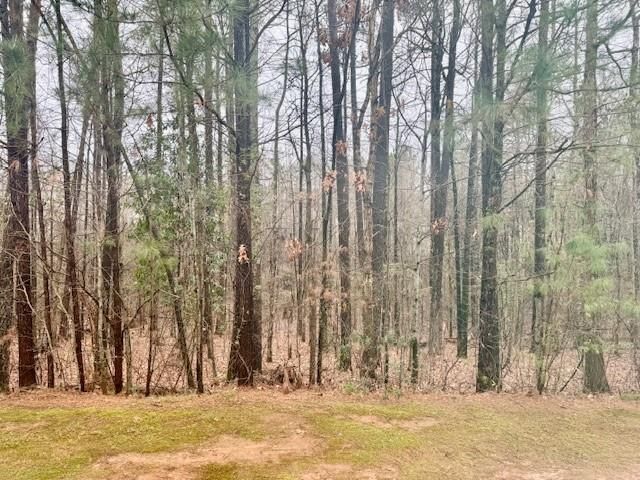 4433 Watson Ridge Drive, Stone Mountain, GA 30083