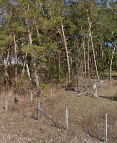 11851 SE 138TH TERRACE, Ocklawaha, FL 32179