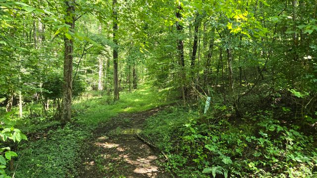 1512 Maple Lane, Corbin, KY 40701