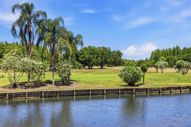 18924 FISHERMANS BEND DRIVE, Lutz, FL 33558