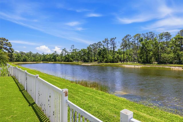 18924 FISHERMANS BEND DRIVE, Lutz, FL 33558