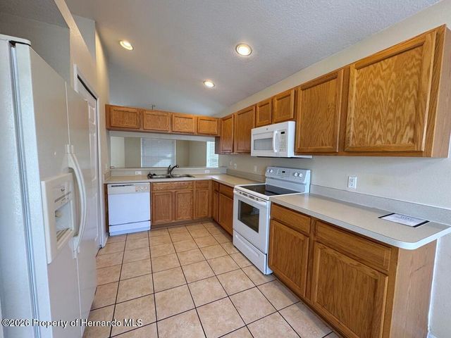 13408 Teaberry Lane, Spring Hill, FL 34609