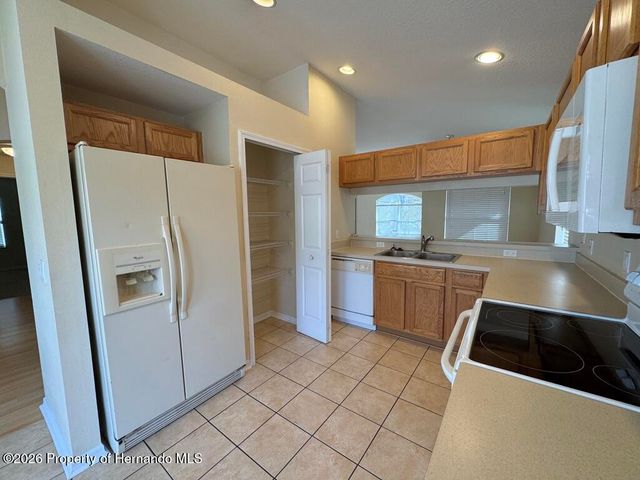 13408 Teaberry Lane, Spring Hill, FL 34609