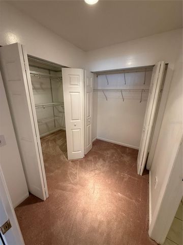 8801 CHINABERRY DRIVE, Tampa, FL 33637
