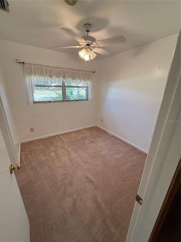 8801 CHINABERRY DRIVE, Tampa, FL 33637