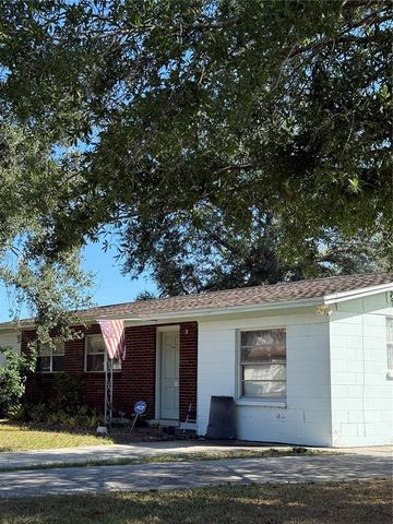 8801 CHINABERRY DRIVE, Tampa, FL 33637