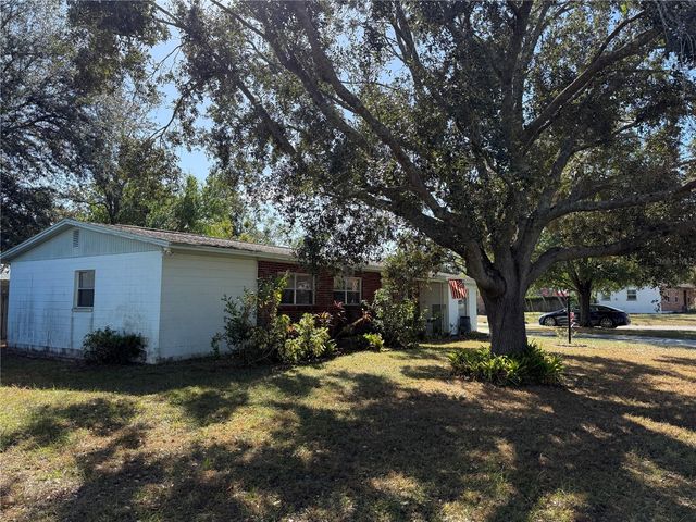 8801 CHINABERRY DRIVE, Tampa, FL 33637