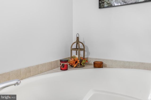 7393 ORKNEY GRADE, Mount Jackson, VA 22842
